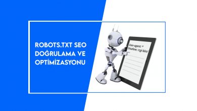 robots.txt SEO optimizasyonu